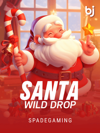 Santa Wild Drop game screenshot
