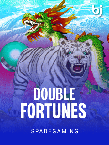Double Fortunes game screenshot